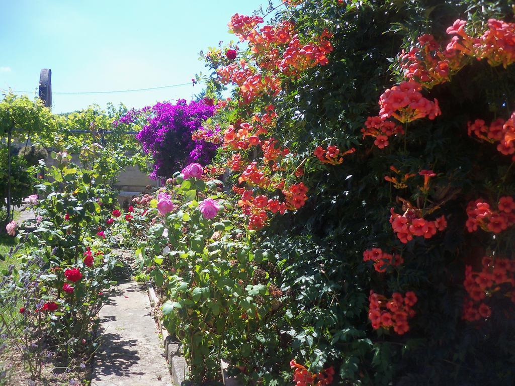 Hotel Fuente El Hayedo San Vicente De La Barquera Esterno foto